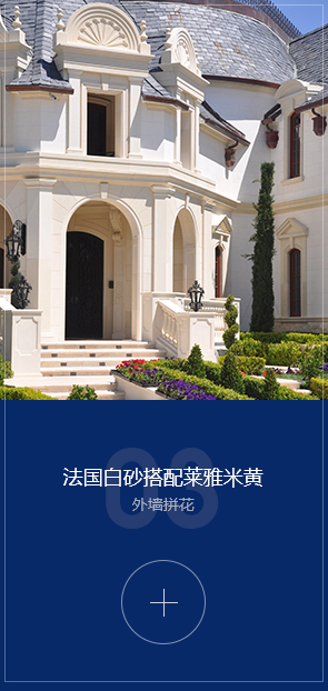 經典案例三 法國白色萊姆石案例